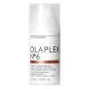Immagine di N. 6 Bond Smoother Leave-In Styling Treatment 100ml - Olaplex
